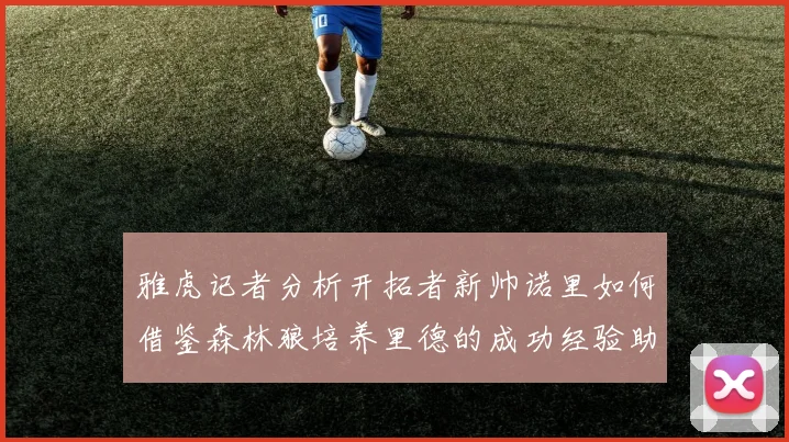 雅虎记者分析开拓者新帅诺里如何借鉴森林狼培养里德的成功经验助力杨瀚森
